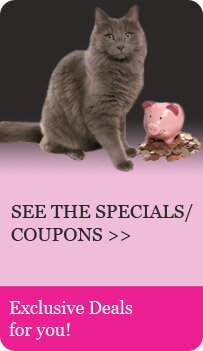See the Coupons/Specials - Exclusive Deals for you! See the Coupons/Specials - Exclusive Deals for you!