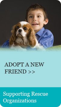 Adopt a New Friend - Supporting Rescue Organizations Adopt a New Friend - Supporting Rescue Organizations