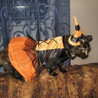 Halloween costume contest winner